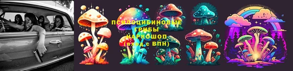 мяу мяу мука Горняк