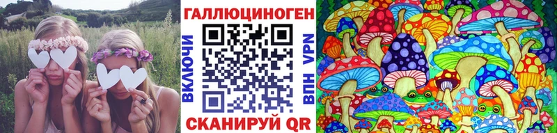 Купить где  Осинники  Галлюциногенные грибы MAGIC MUSHROOMS 